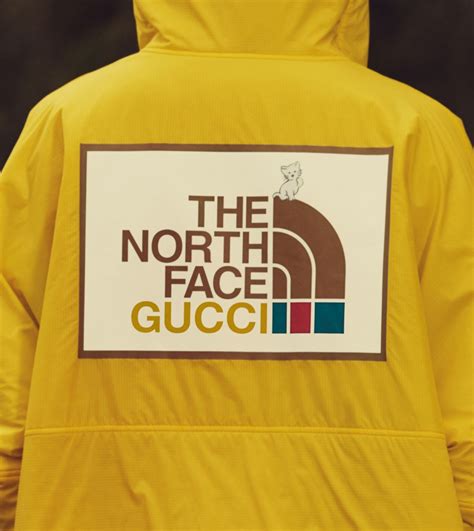 giaccone gucci|Gucci north face icon.